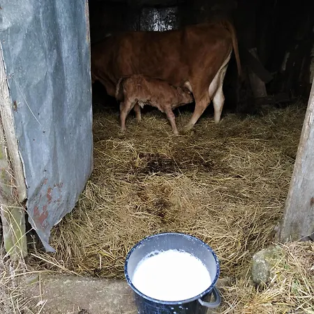 Aldeia De 別荘 Moura Morta