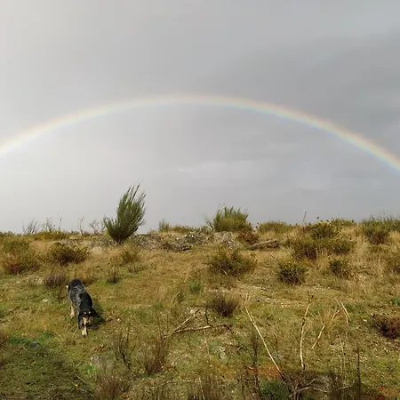 Aldeia De 別荘 Moura Morta