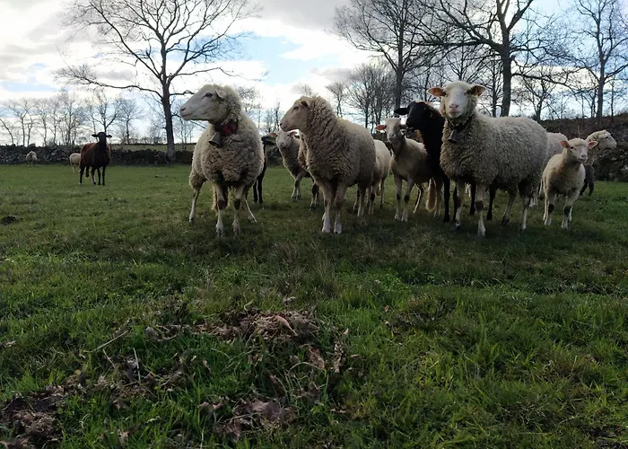 Casa vacanze Aldeia De *