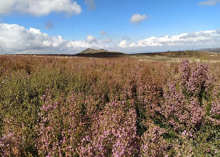 Casa vacanze Aldeia De Moura Morta