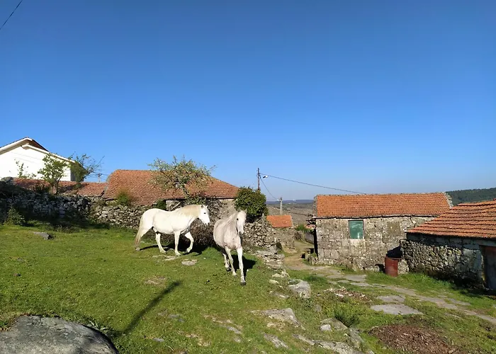 Aldeia De Moura Morta