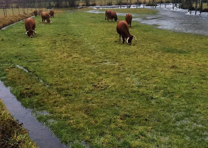 Casa vacanze Aldeia De