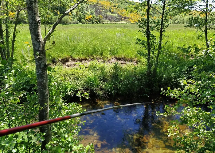 Aldeia De * Moura Morta