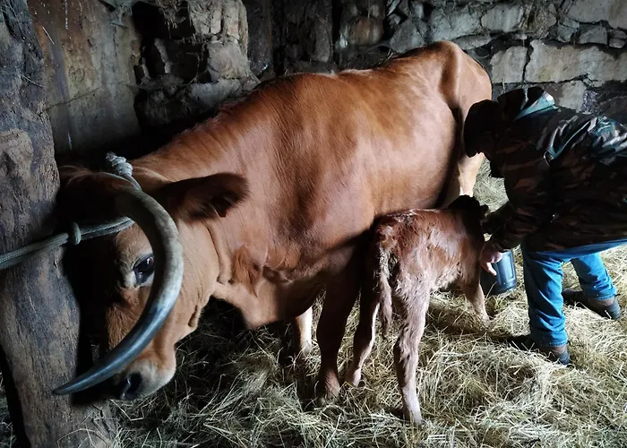 Casa vacanze Aldeia De *