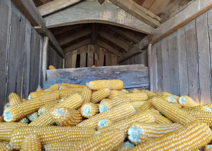 Casa vacanze Aldeia De *