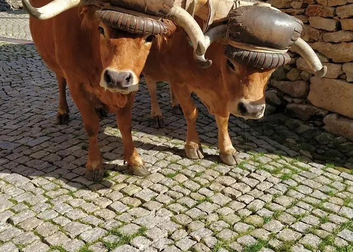 Aldeia De Casa vacanze Moura Morta