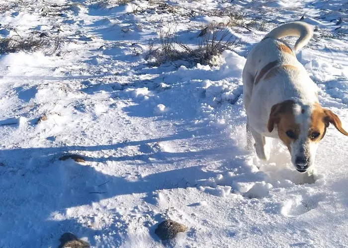 Aldeia De * Moura Morta