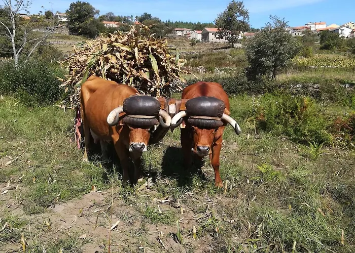 Casa vacanze Aldeia De *