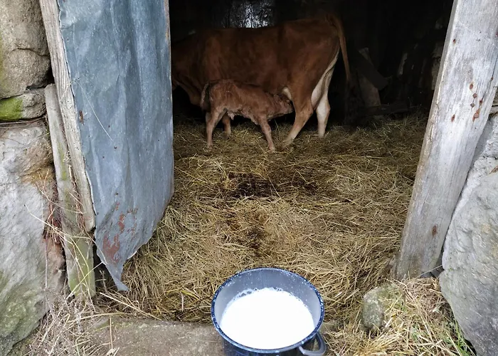 Aldeia De Casa vacanze Moura Morta