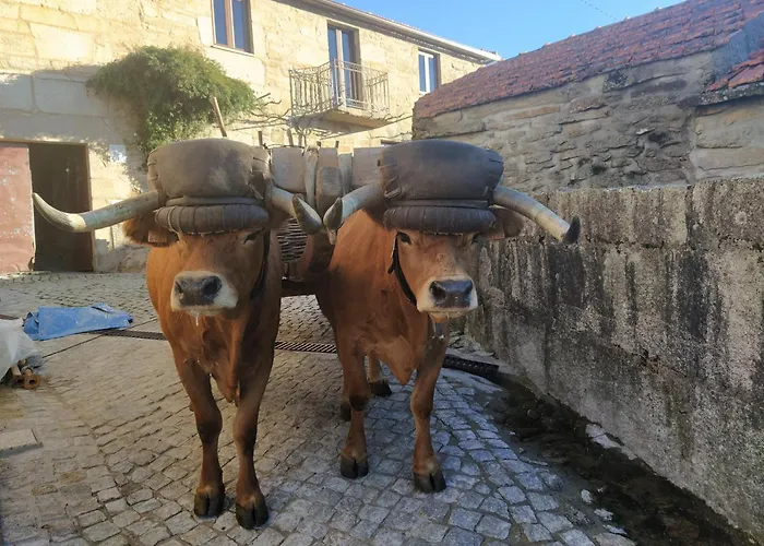 Aldeia De Moura Morta