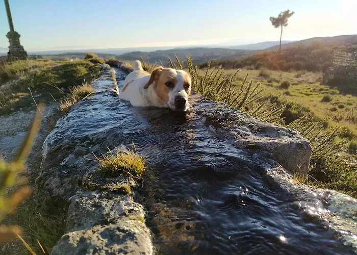 Aldeia De Moura Morta