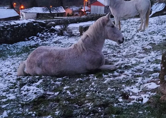 Casa vacanze Aldeia De